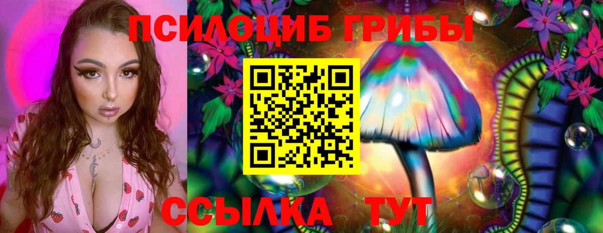 Галлюциногенные грибы GOLDEN TEACHER  Вход с VPN  Псилоцибиновые грибы прущие грибы  Курчалой 