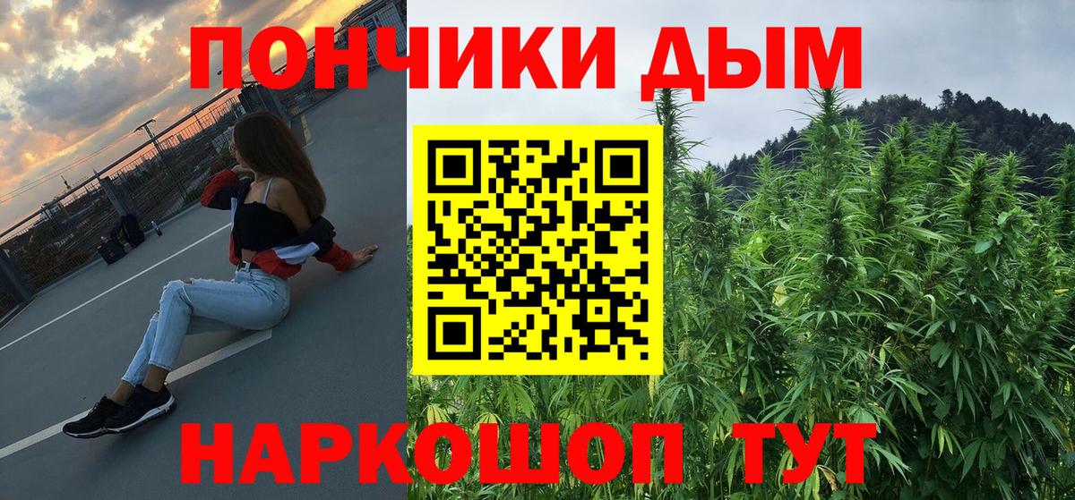 Курчалой  Шишки марихуана марихуана  МАРИХУАНА THC 21%  Каннабис план  Вход с VPN  Марихуана гибрид 
